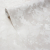 Background DOLCE 588222