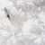 Motive DOLCE 588212