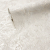 Background LEONARDO 589466