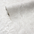 Background LEONARDO 589462