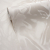 Background EUFORIA 589302