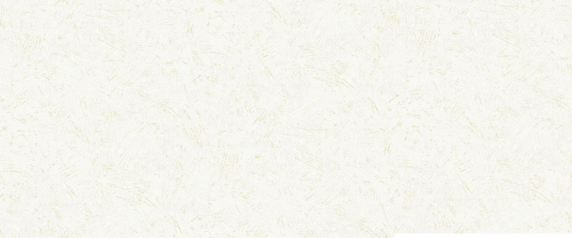Background PALMA 888602