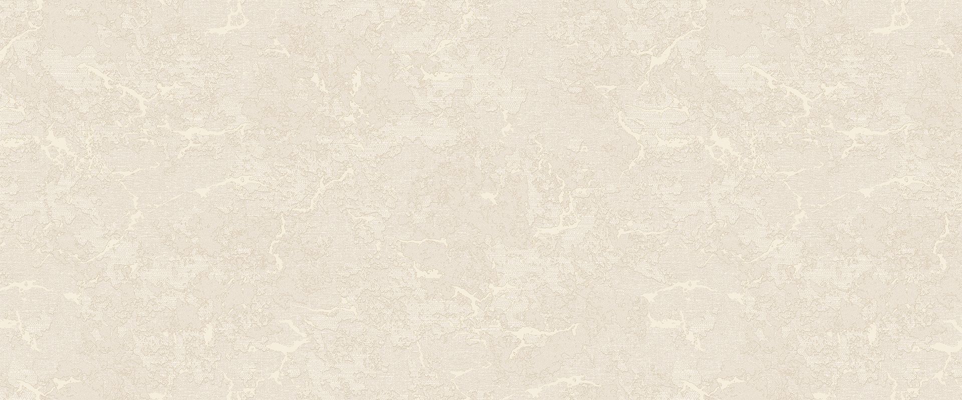 Background ORLANDO 889202
