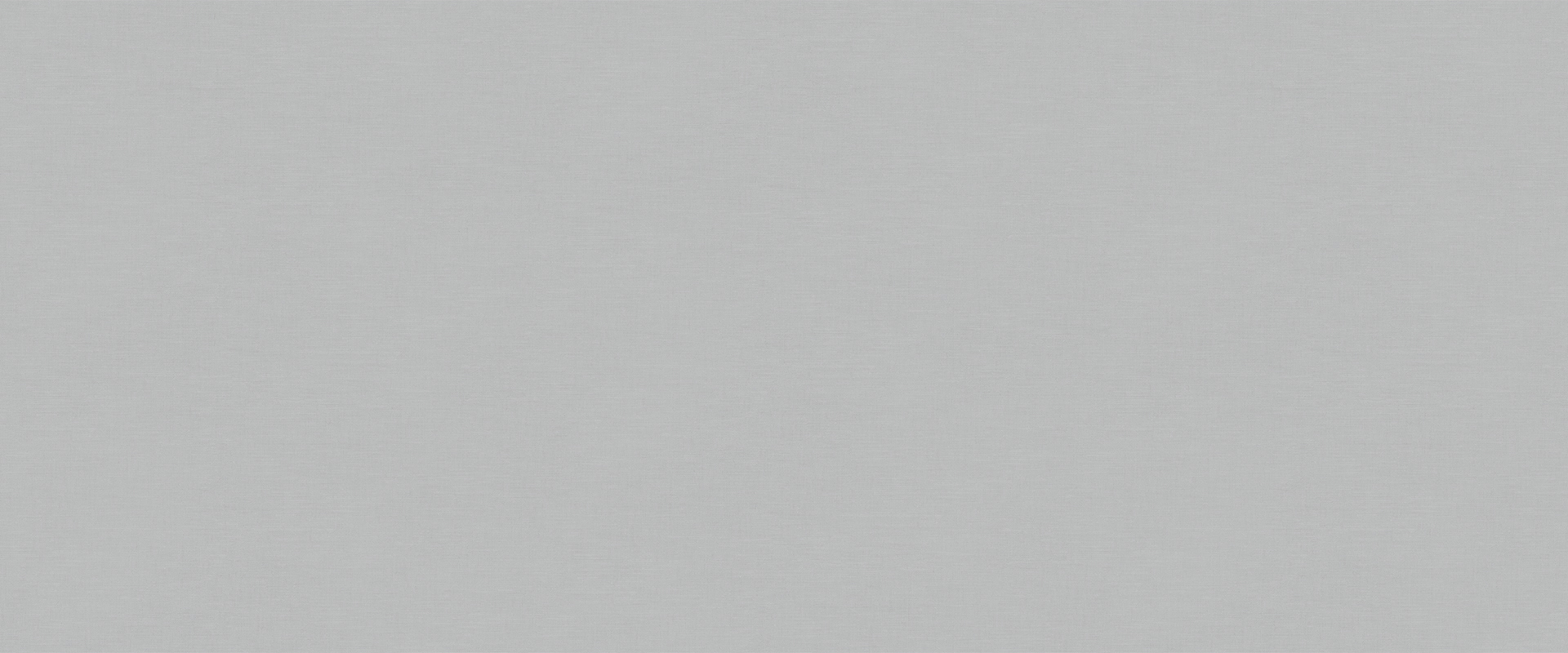 Background PANTONE 989939 Background PANTONE 989939