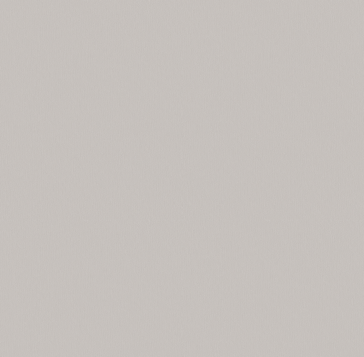 Background APOLLO 285411