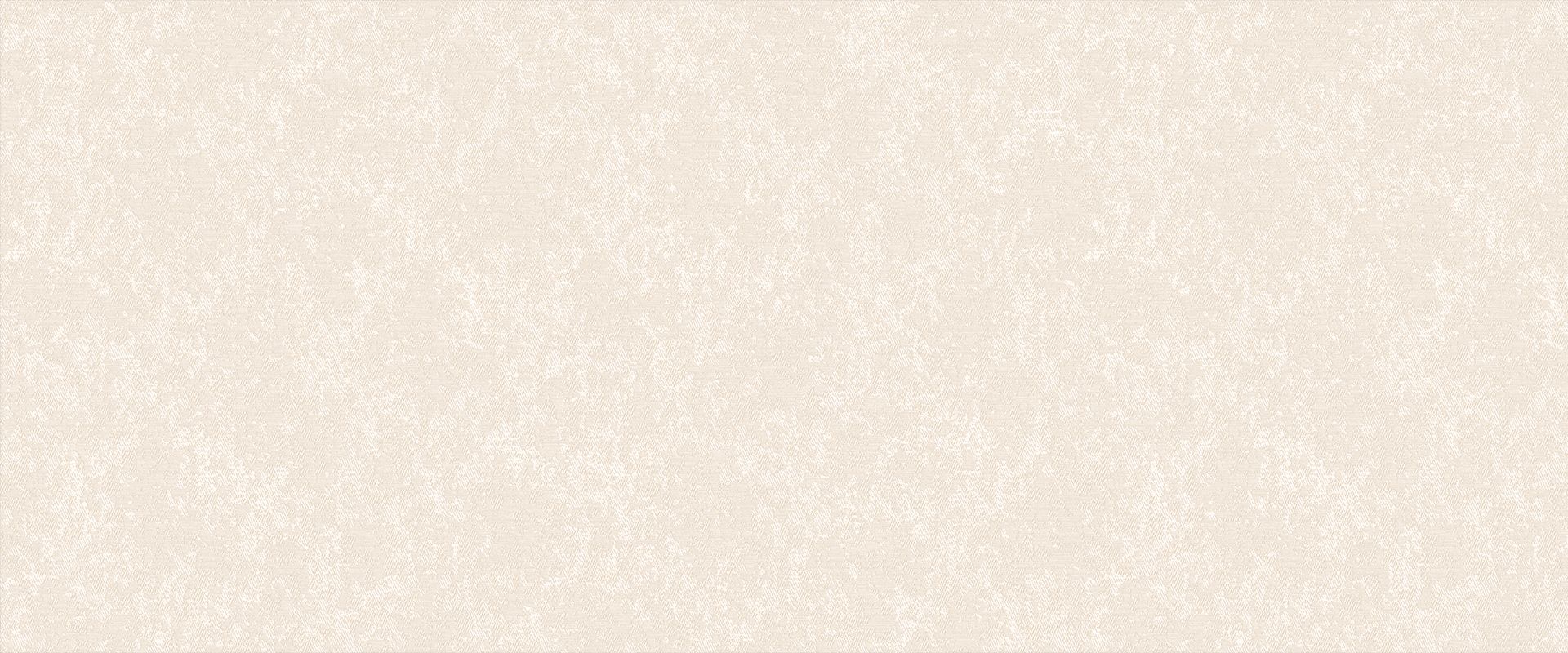 Background SANDRO 889902