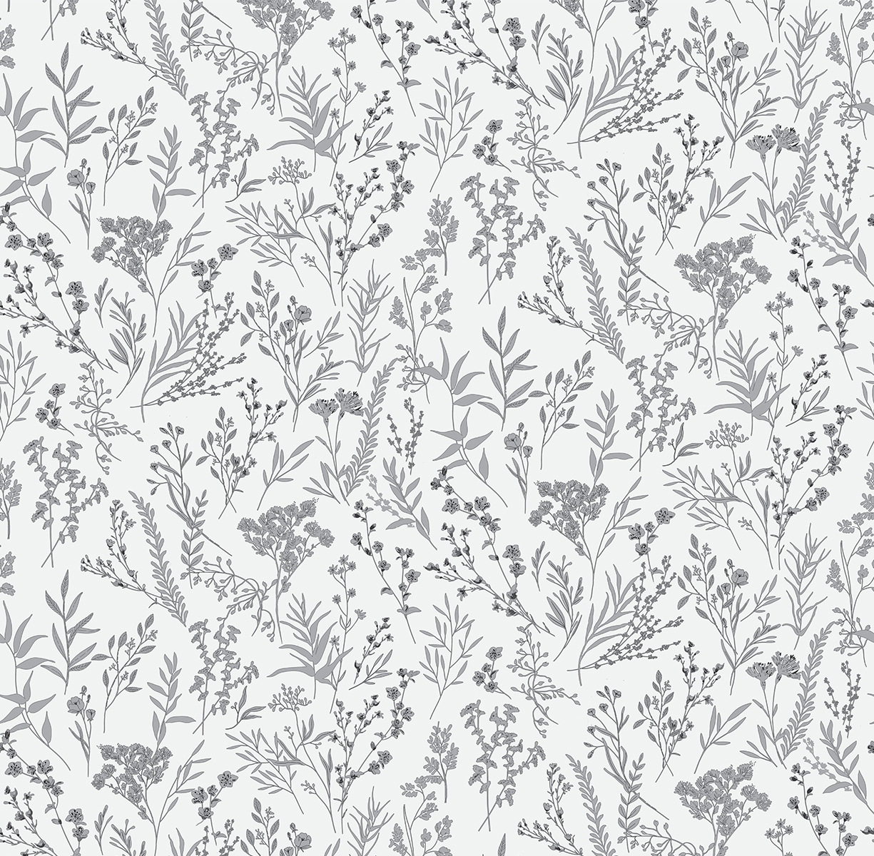 Motive ORGANIC 285211 Motive ORGANIC 285211