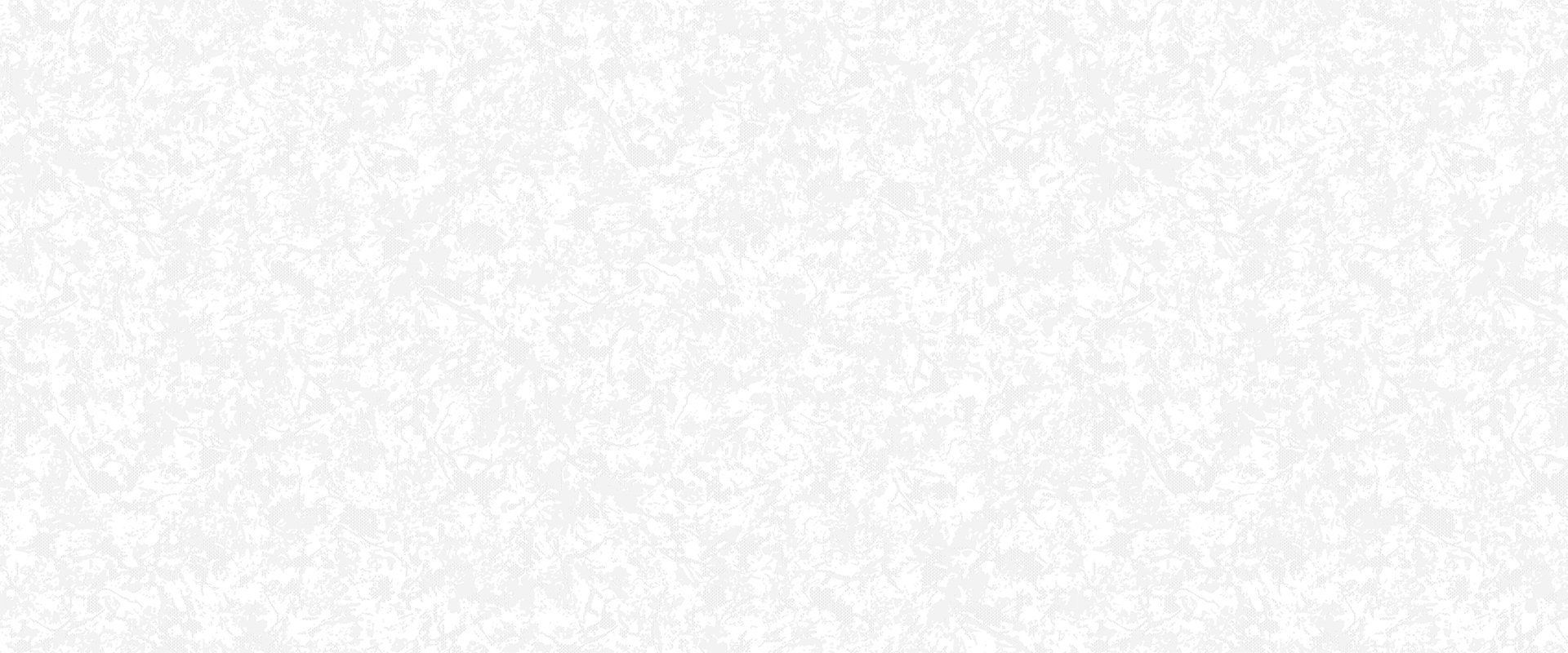 Background NIKA 998491