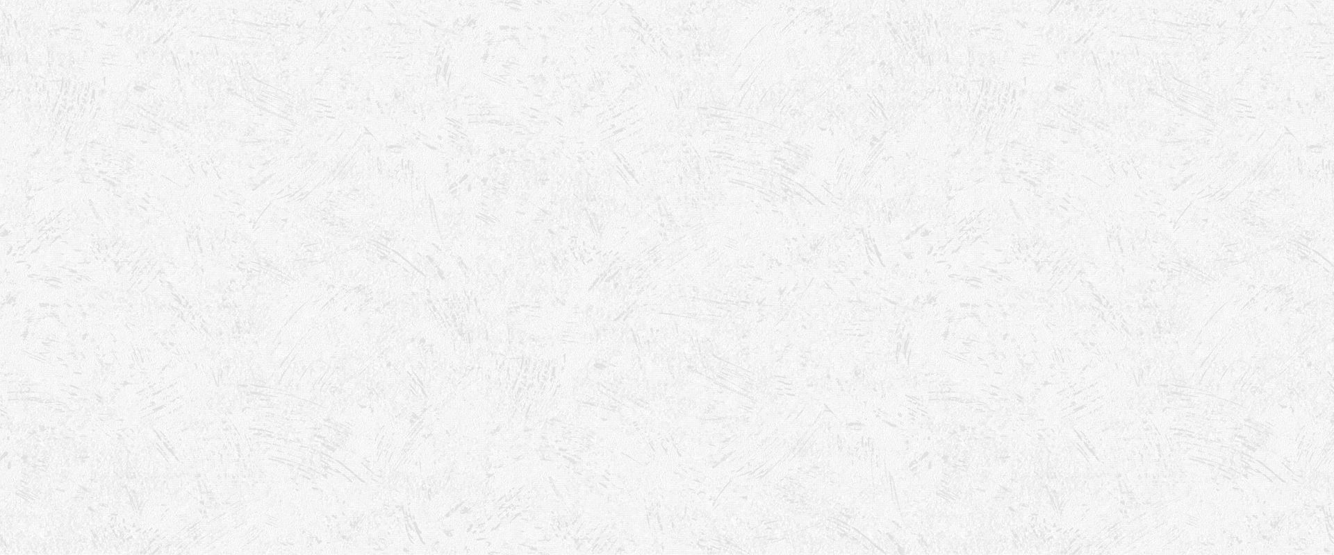 Background PALMA 888601