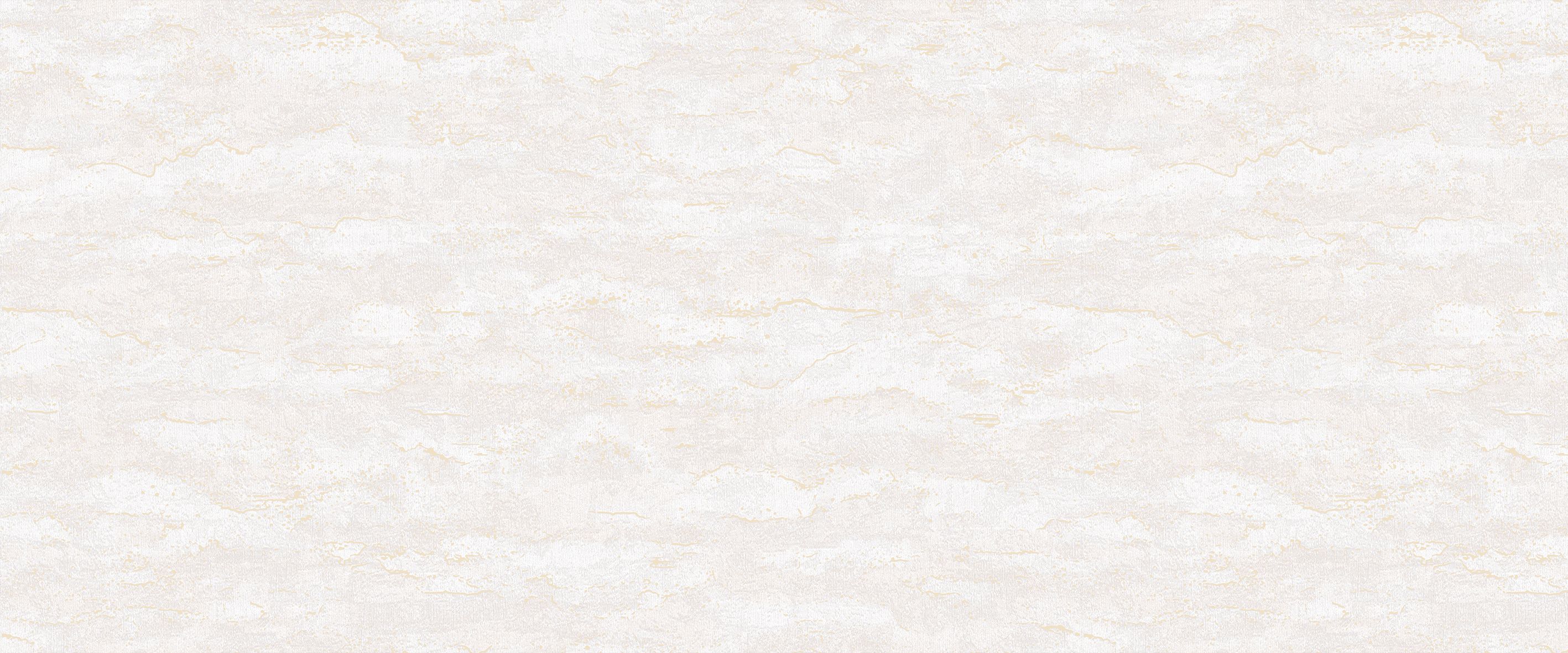 Background AMAZONIA 989551 Background AMAZONIA 989551