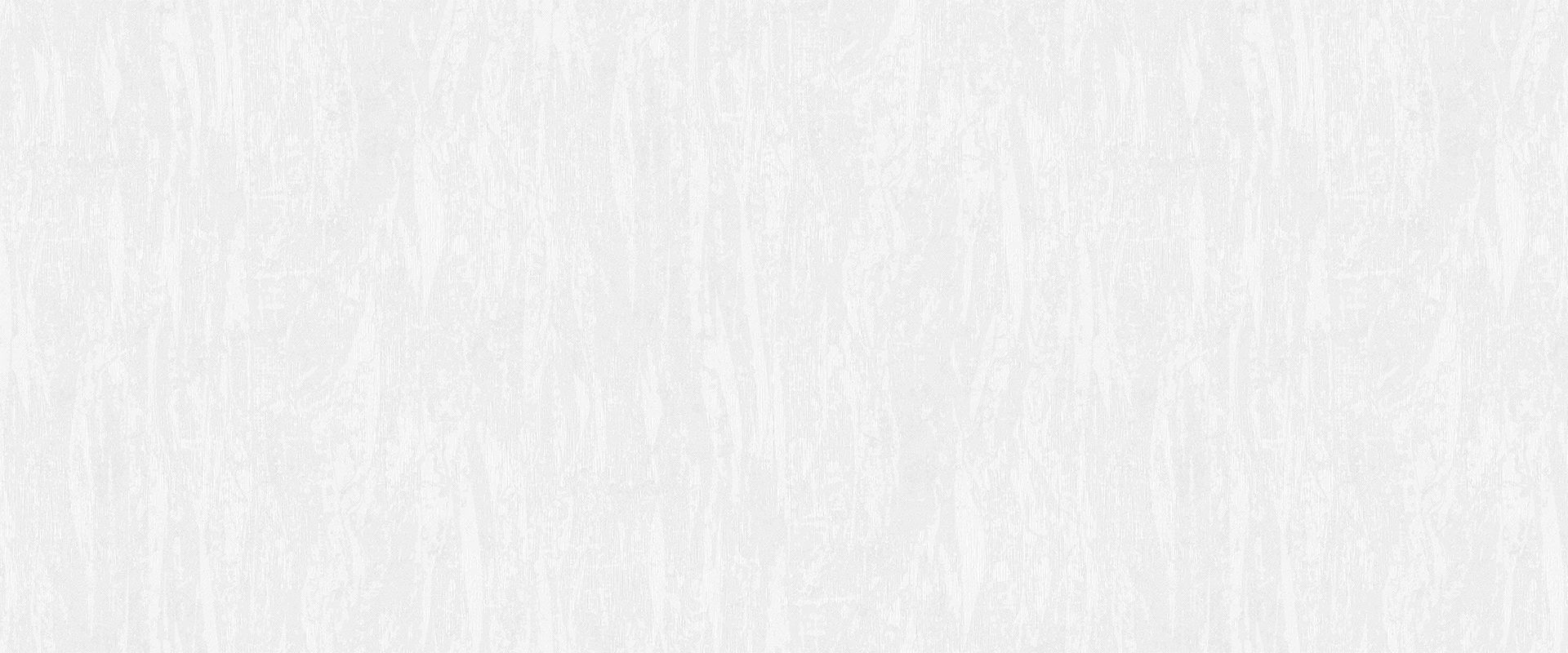 Background CAPITAL 888841 Background CAPITAL 888841