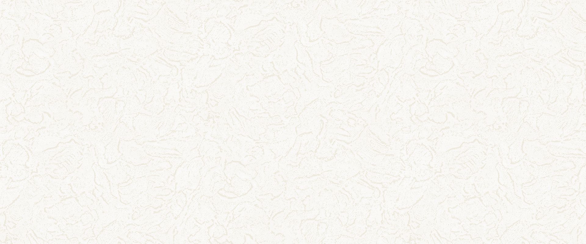 Background COMPASS 888681 Background COMPASS 888681