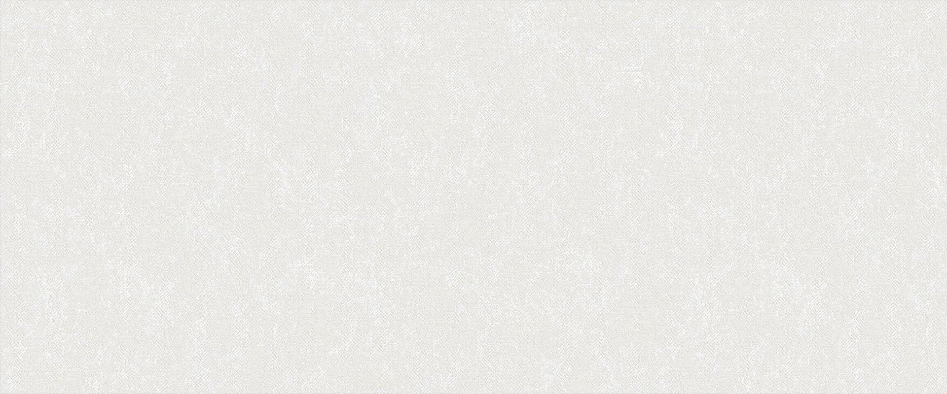 Background SANDRO 889901