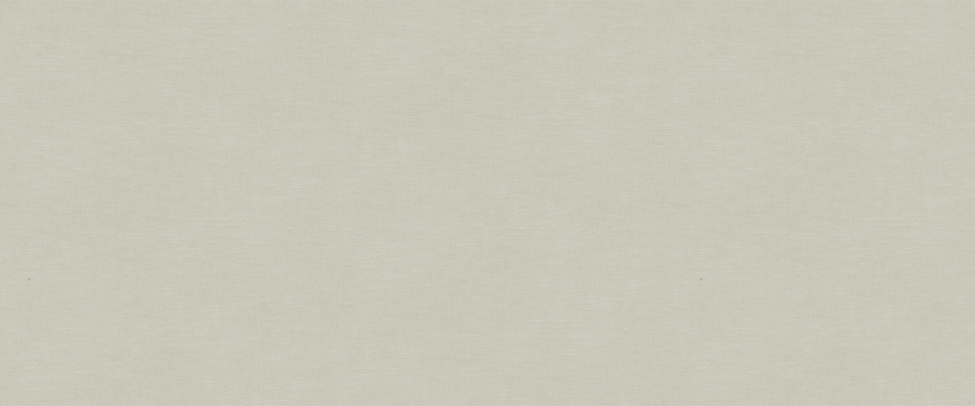 Background PANTONE 989933 Background PANTONE 989933