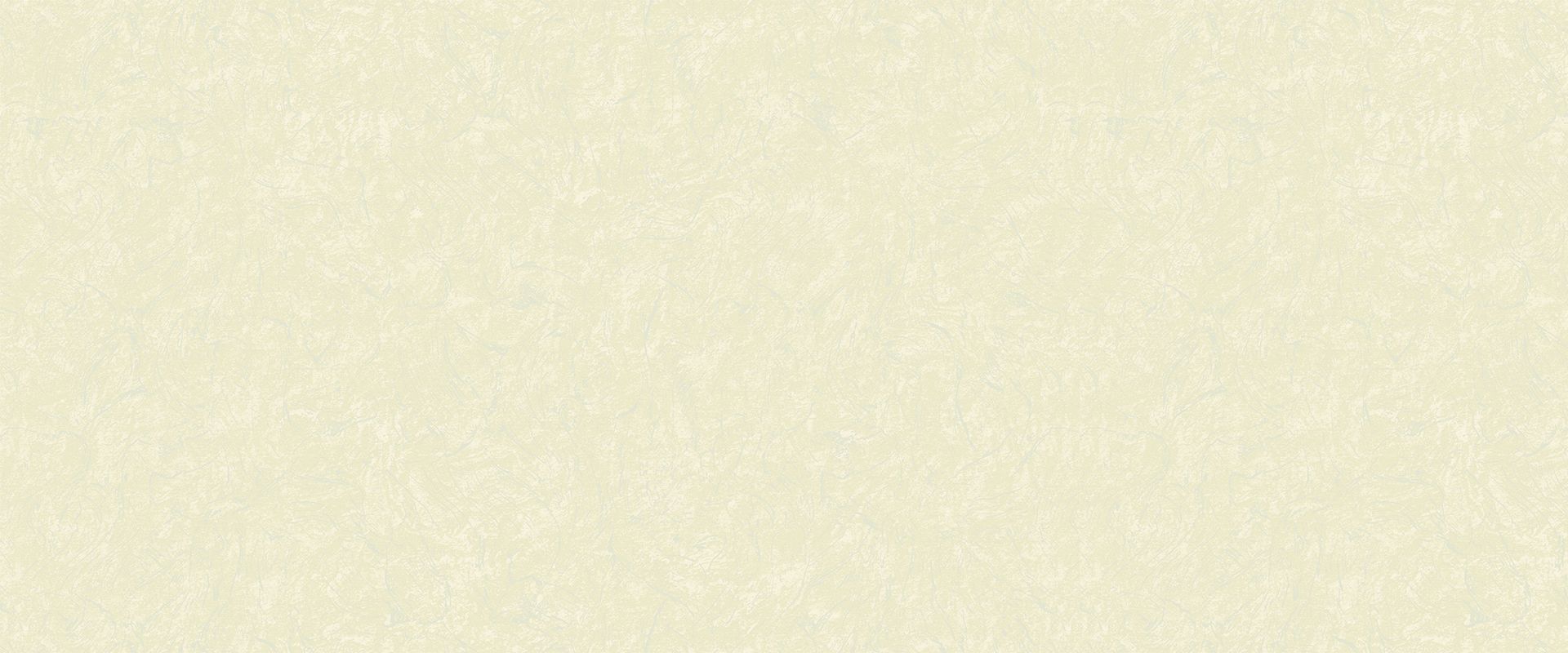 Background PAULINA 888663