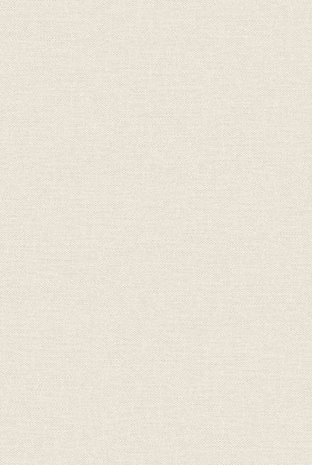 Background HORIZONT 889486