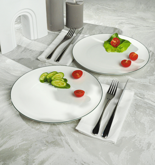 SYMBOL dinner plates (green edge)