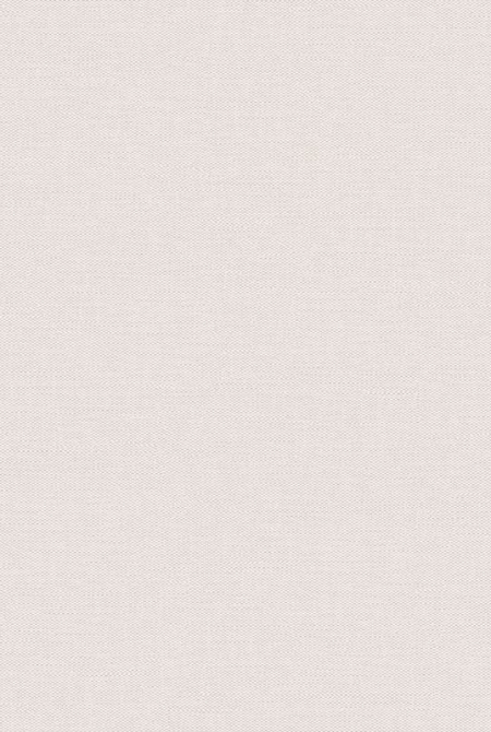 Background HORIZONT 889488