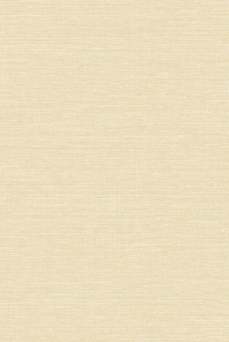 Background CHOCOLATE 983022