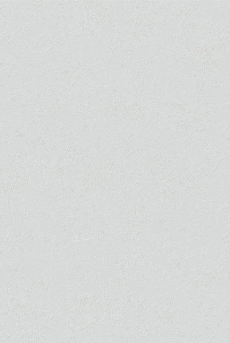 AMELI Background 998473