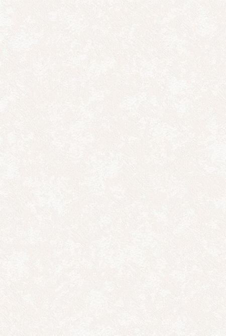 Background ASTI 88425 