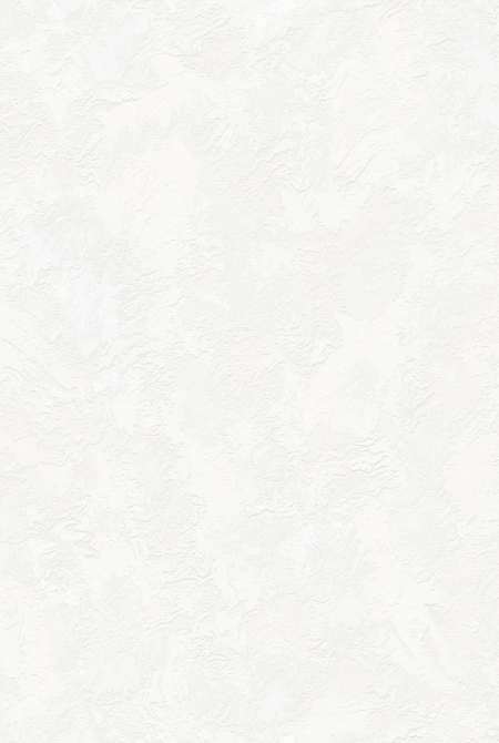 Background ANKARA 88921