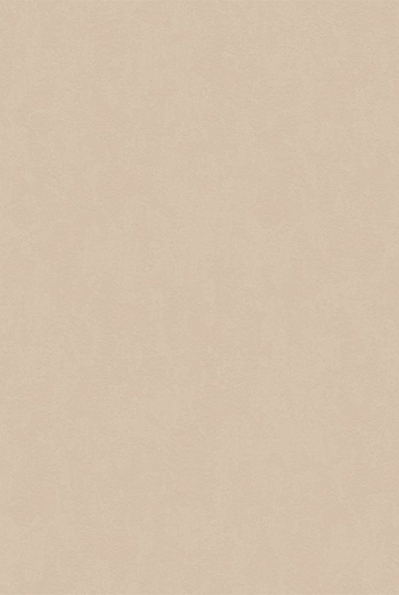 Background ESTER 888148