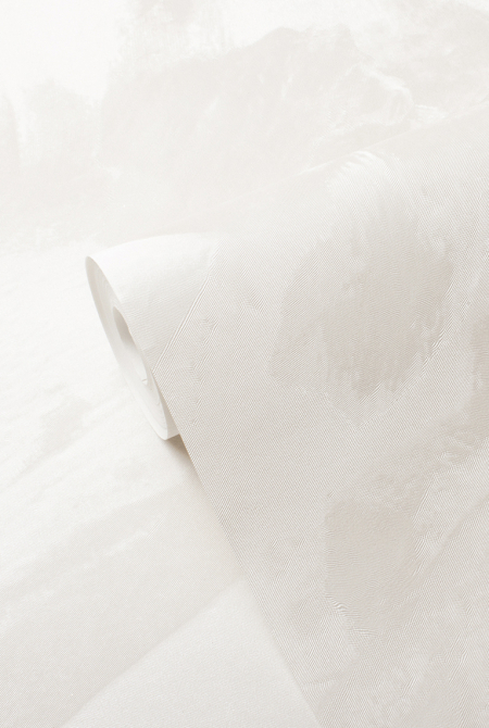 Background CALYPSO 89982