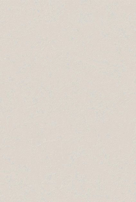 AMELI Background 998478