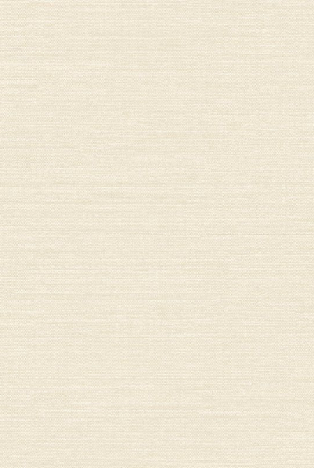 Background CHOCOLATE 983021