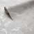 Background VIRTUOSO 585522