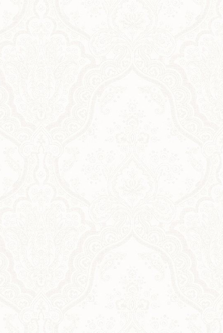KIMI Background 998101