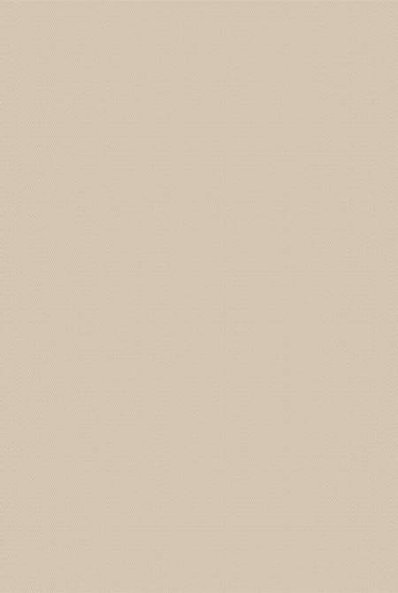 Background WOOD 984062