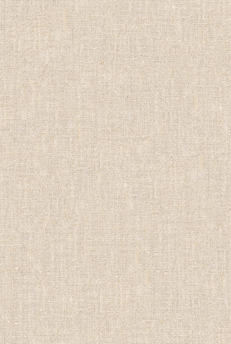 Background DISCOVERY 2.0 989858