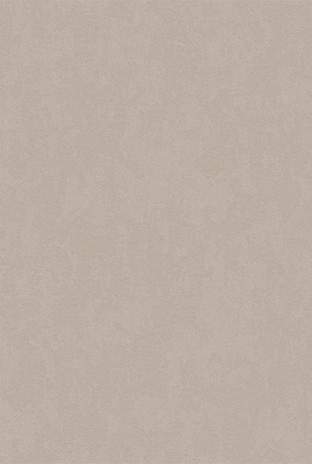 Background ESTER 888144