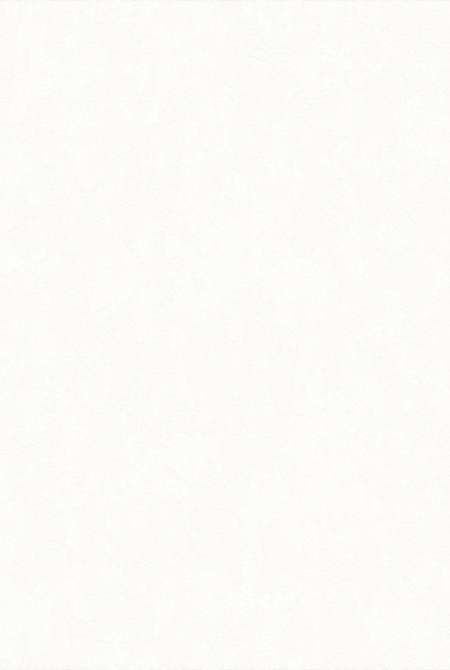 Background ALEXANDER 998041