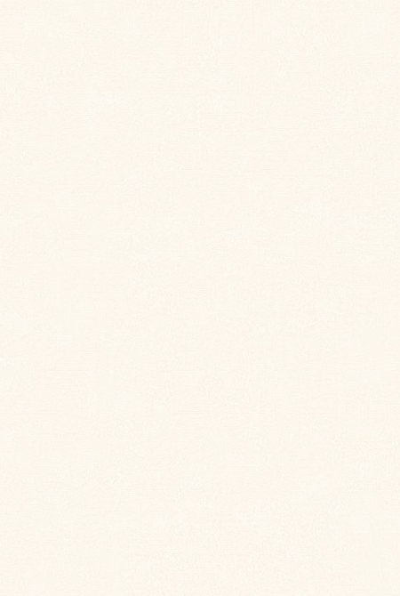 Background BOSFOR 889262