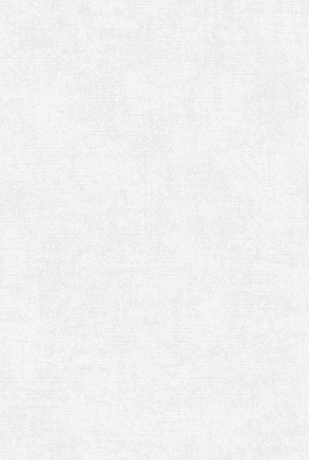 Background CASABLANCA 998371
