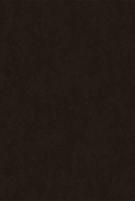 Background ALEXANDER 998049