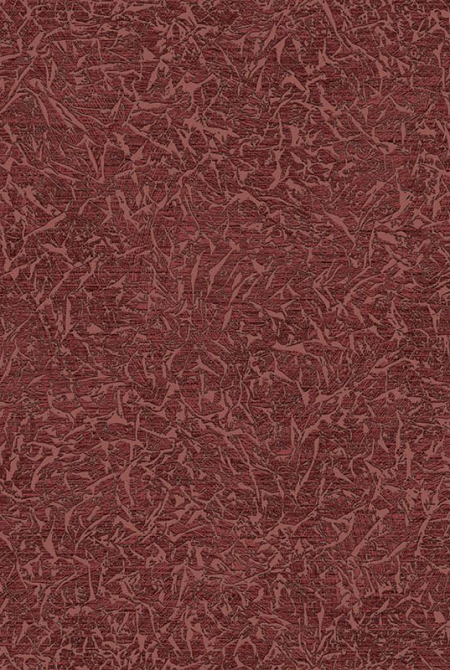 Background ALESSANDRO 998975