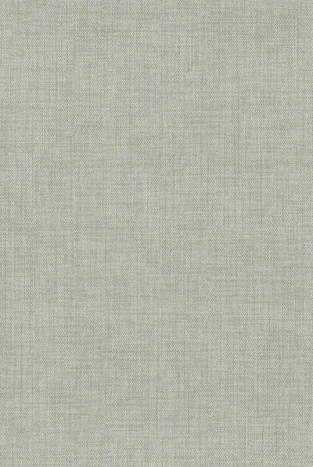 Background BARBERA 998143