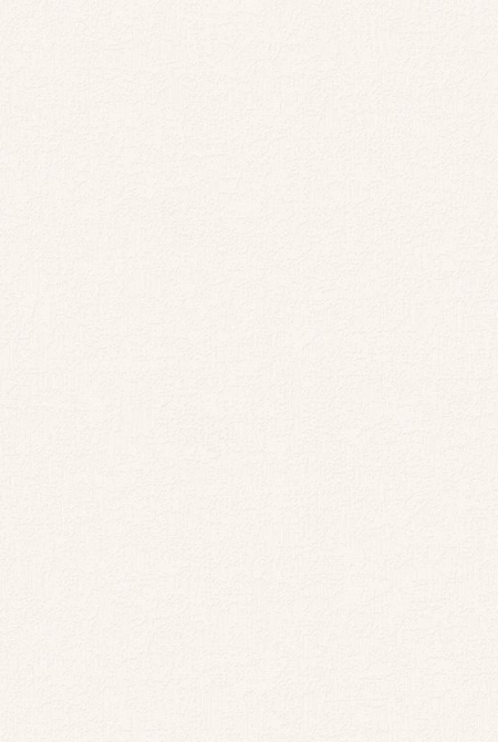 Background BERGAMO 889526