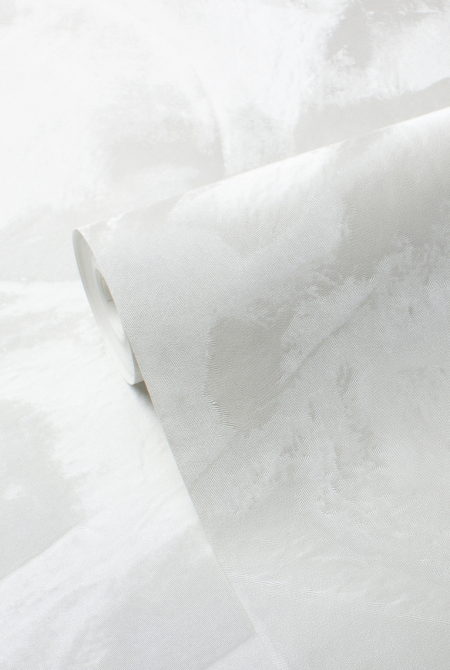 Background CALYPSO 89985
