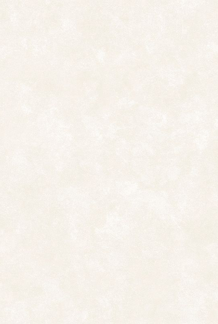 Background BALANCE 281982