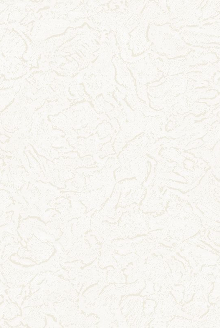 Background COMPASS 888681
