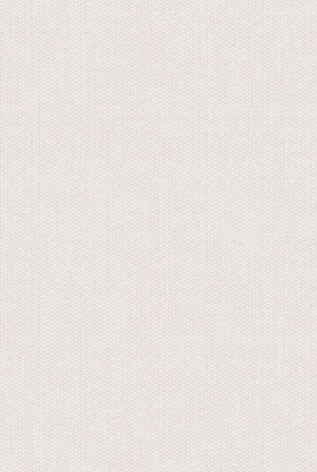 Background DISCO 889022