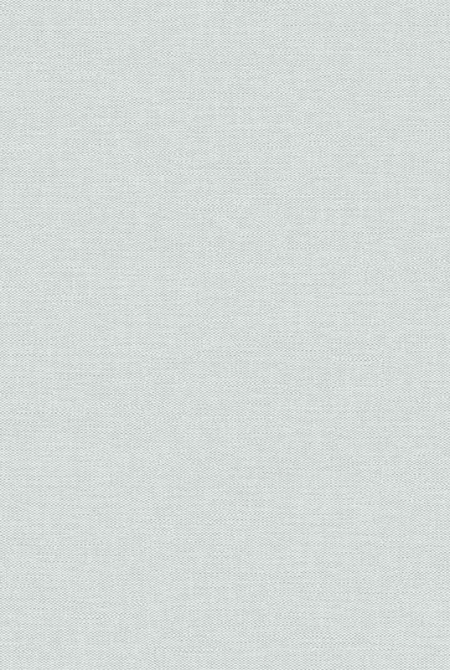 Background HORIZONT 889484