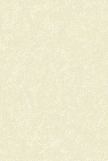 Background PAULINA 888663