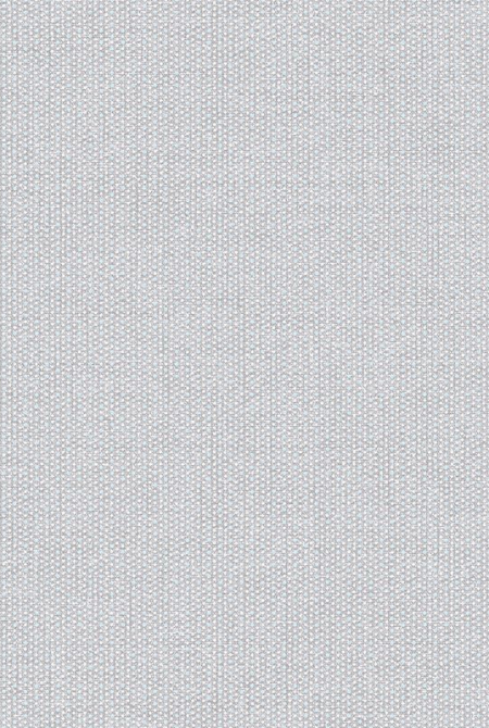 Background DISCO 889023