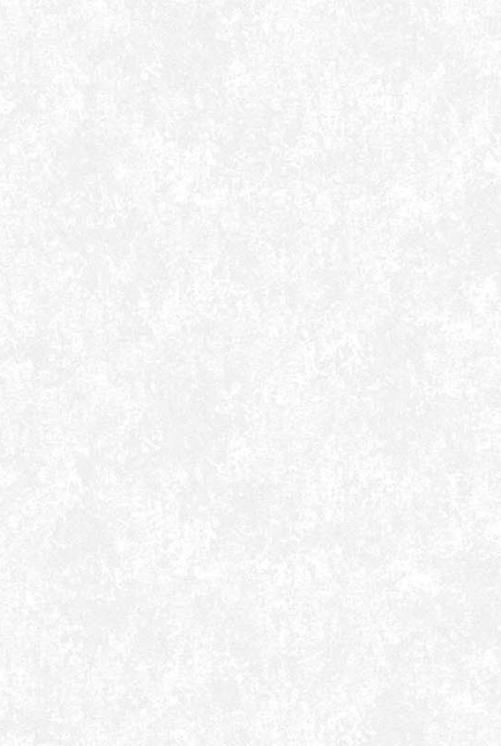 Background ALINA 998631